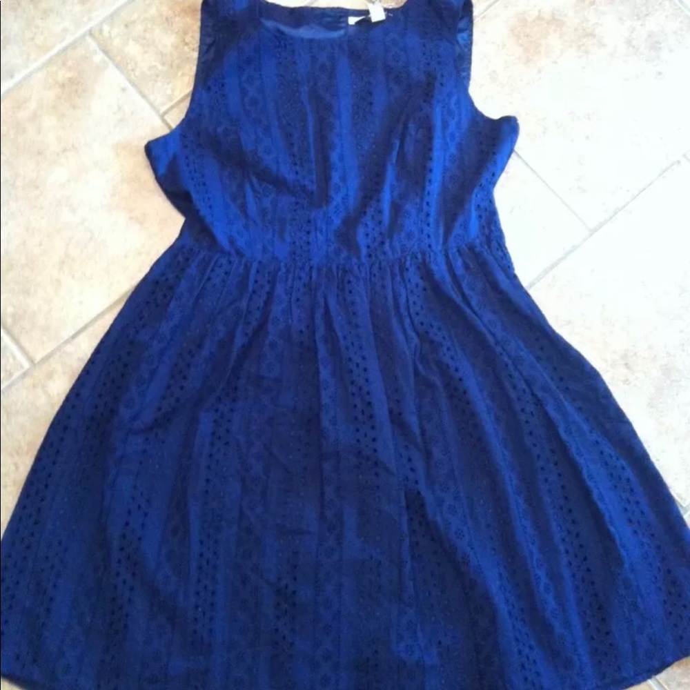 NWT Lauren Conrad Fit and Flare Eyelet Dress 12
